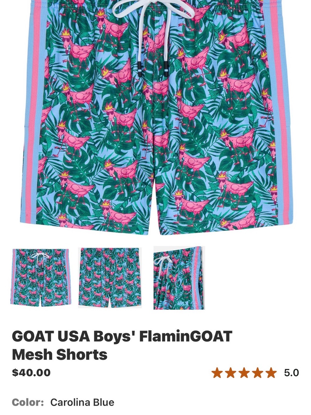 FlaminGOAT Boys' Shorts in Carolina Blue with Pink Flamingo Print - Size Youth L